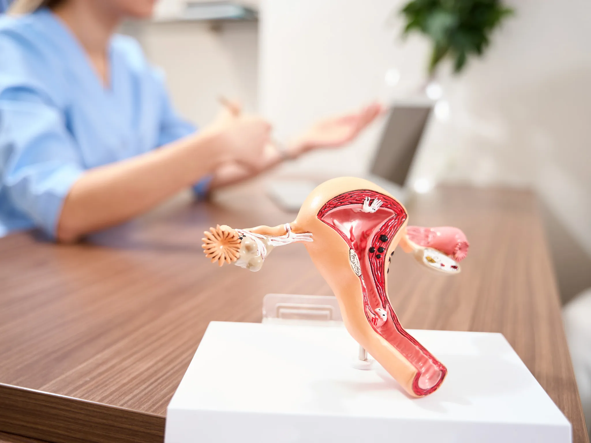 Urology